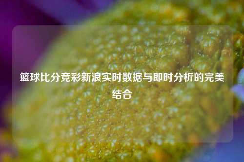 篮球比分竞彩新浪实时数据与即时分析的完美结合