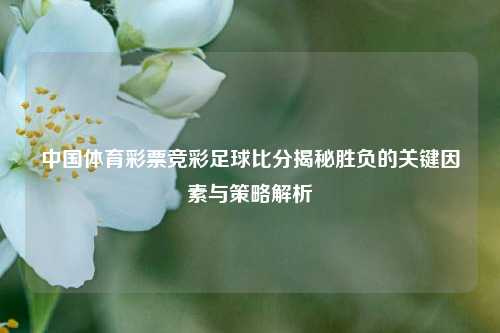 中国体育彩票竞彩足球比分揭秘胜负的关键因素与策略解析