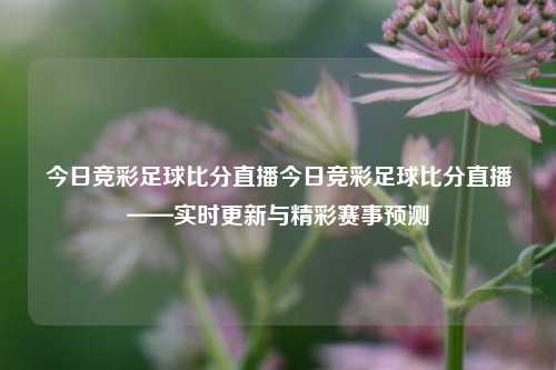 今日竞彩足球比分直播今日竞彩足球比分直播——实时更新与精彩赛事预测