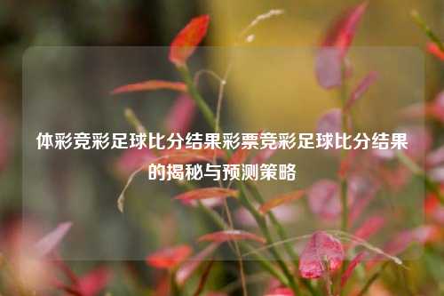 体彩竞彩足球比分结果彩票竞彩足球比分结果的揭秘与预测策略