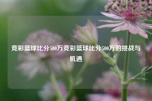 竞彩篮球比分500万竞彩篮球比分500万的挑战与机遇