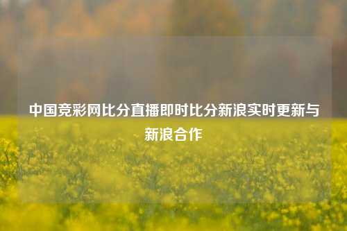 中国竞彩网比分直播即时比分新浪实时更新与新浪合作