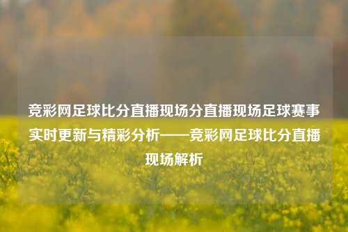竞彩网足球比分直播现场分直播现场足球赛事实时更新与精彩分析——竞彩网足球比分直播现场解析