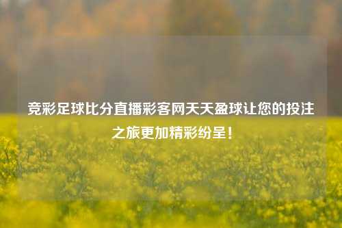 竞彩足球比分直播彩客网天天盈球让您的投注之旅更加精彩纷呈！