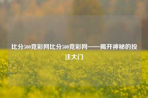 比分500竞彩网比分500竞彩网——揭开神秘的投注大门