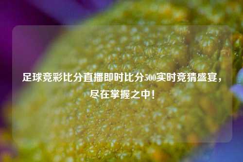足球竞彩比分直播即时比分500实时竞猜盛宴，尽在掌握之中！