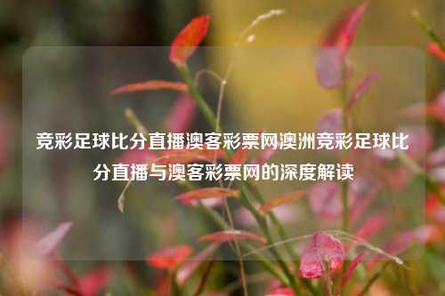 竞彩足球比分直播澳客彩票网澳洲竞彩足球比分直播与澳客彩票网的深度解读