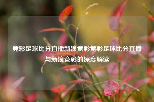 竞彩足球比分直播新浪竞彩竞彩足球比分直播与新浪竞彩的深度解读