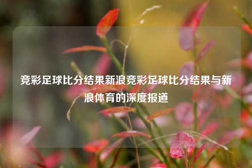 竞彩足球比分结果新浪竞彩足球比分结果与新浪体育的深度报道