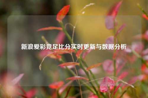 新浪爱彩竞足比分实时更新与数据分析