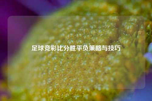足球竞彩比分胜平负策略与技巧