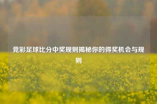竞彩足球比分中奖规则揭秘你的得奖机会与规则