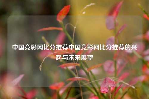 中国竞彩网比分推荐中国竞彩网比分推荐的兴起与未来展望