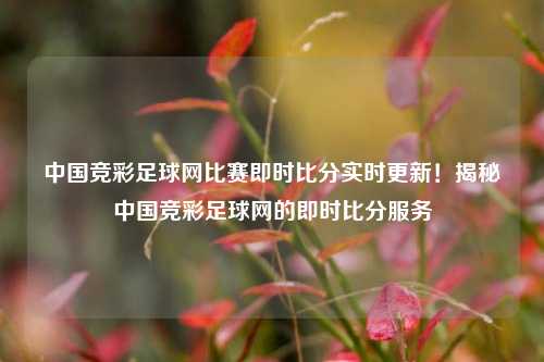 中国竞彩足球网比赛即时比分实时更新！揭秘中国竞彩足球网的即时比分服务