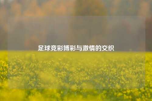 足球竞彩博彩与激情的交织