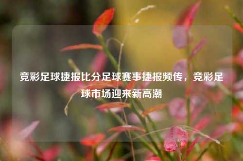 竞彩足球捷报比分足球赛事捷报频传，竞彩足球市场迎来新高潮