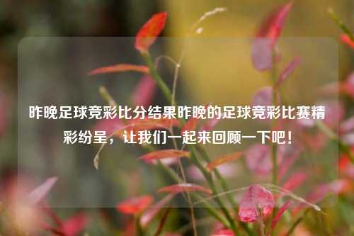 昨晚足球竞彩比分结果昨晚的足球竞彩比赛精彩纷呈，让我们一起来回顾一下吧！