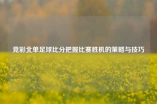 竞彩北单足球比分把握比赛胜机的策略与技巧