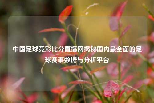 中国足球竞彩比分直播网揭秘国内最全面的足球赛事数据与分析平台