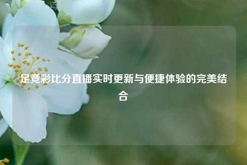 足竞彩比分直播实时更新与便捷体验的完美结合