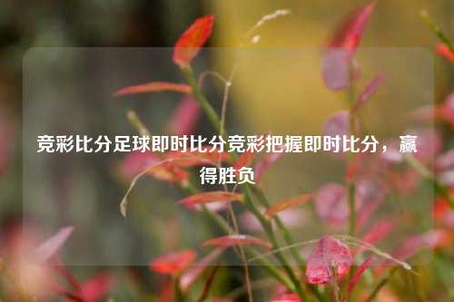 竞彩比分足球即时比分竞彩把握即时比分，赢得胜负