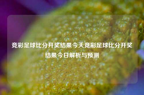 竞彩足球比分开奖结果今天竞彩足球比分开奖结果今日解析与预测