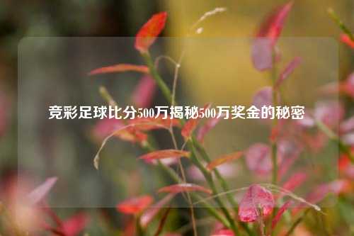 竞彩足球比分500万揭秘500万奖金的秘密