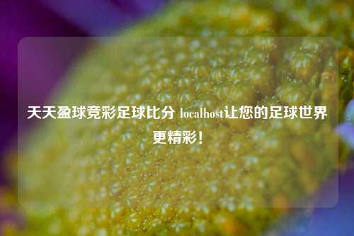 天天盈球竞彩足球比分 localhost让您的足球世界更精彩！