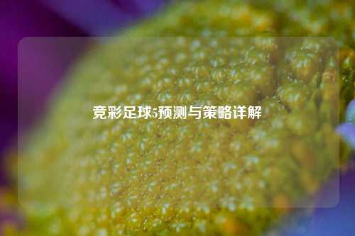 竞彩足球5预测与策略详解