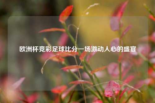 欧洲杯竞彩足球比分一场激动人心的盛宴