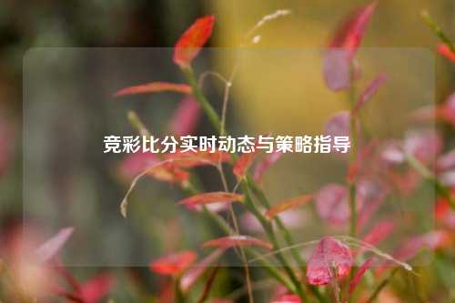 竞彩比分实时动态与策略指导