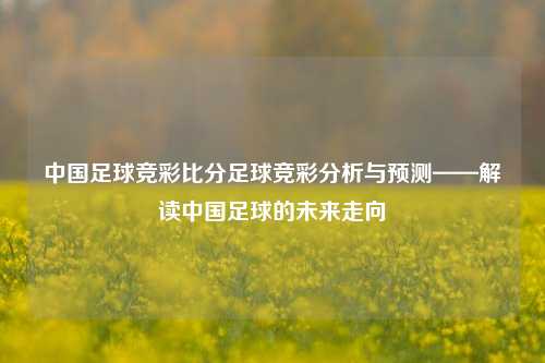中国足球竞彩比分足球竞彩分析与预测——解读中国足球的未来走向