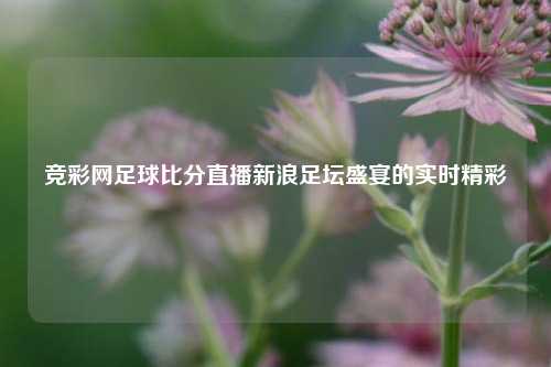 竞彩网足球比分直播新浪足坛盛宴的实时精彩