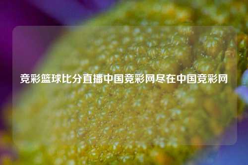 竞彩篮球比分直播中国竞彩网尽在中国竞彩网