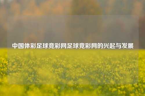中国体彩足球竞彩网足球竞彩网的兴起与发展