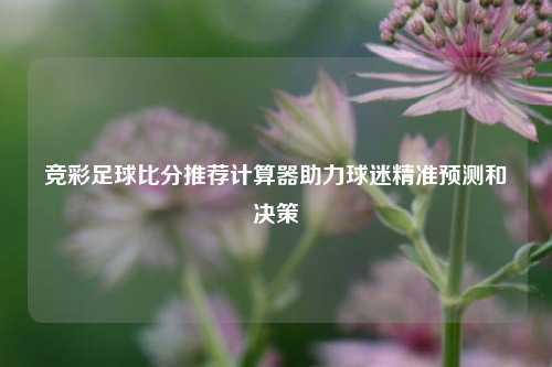 竞彩足球比分推荐计算器助力球迷精准预测和决策