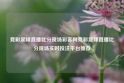 竞彩足球直播比分现场彩客网竞彩足球直播比分现场实时投注平台推荐