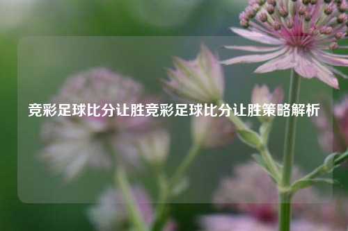 竞彩足球比分让胜竞彩足球比分让胜策略解析