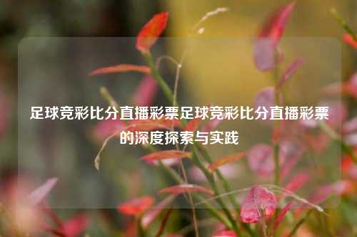 足球竞彩比分直播彩票足球竞彩比分直播彩票的深度探索与实践