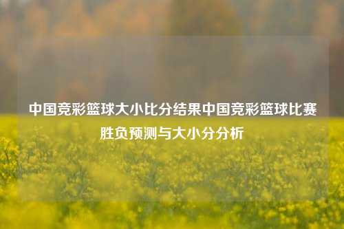 中国竞彩篮球大小比分结果中国竞彩篮球比赛胜负预测与大小分分析