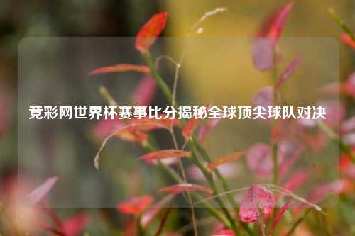 竞彩网世界杯赛事比分揭秘全球顶尖球队对决