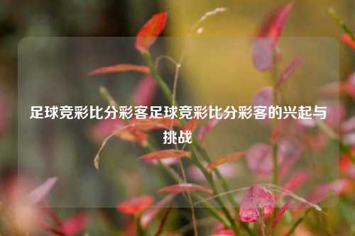 足球竞彩比分彩客足球竞彩比分彩客的兴起与挑战