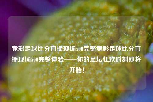 竞彩足球比分直播现场500完整竞彩足球比分直播现场500完整体验——你的足坛狂欢时刻即将开始！