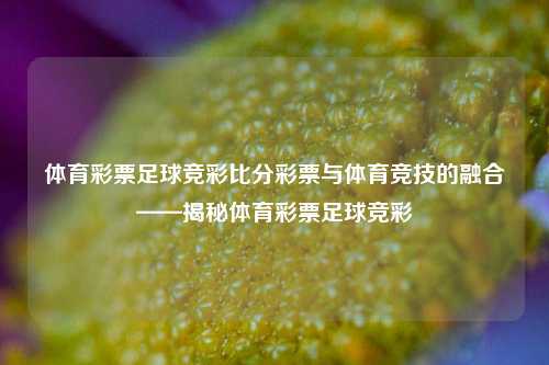 体育彩票足球竞彩比分彩票与体育竞技的融合——揭秘体育彩票足球竞彩