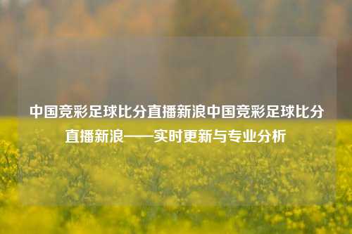 中国竞彩足球比分直播新浪中国竞彩足球比分直播新浪——实时更新与专业分析