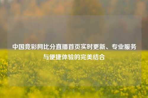 中国竞彩网比分直播首页实时更新、专业服务与便捷体验的完美结合