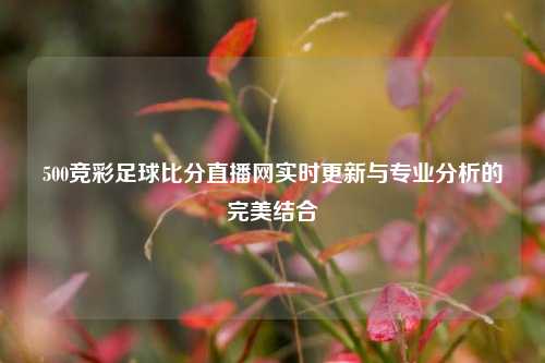 500竞彩足球比分直播网实时更新与专业分析的完美结合