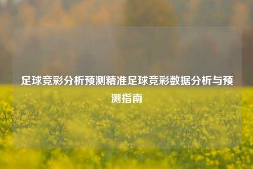足球竞彩分析预测精准足球竞彩数据分析与预测指南