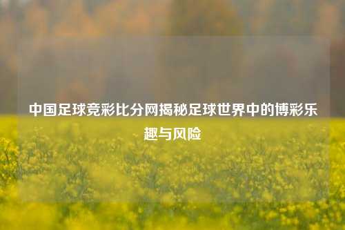 中国足球竞彩比分网揭秘足球世界中的博彩乐趣与风险