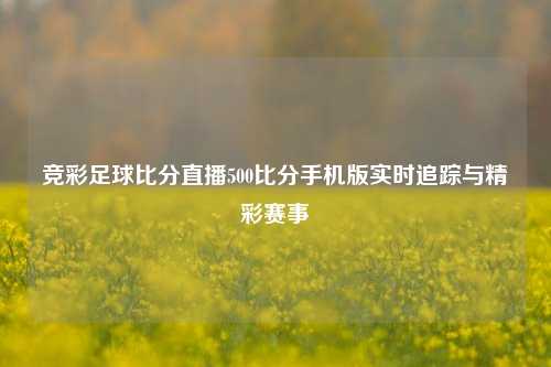 竞彩足球比分直播500比分手机版实时追踪与精彩赛事